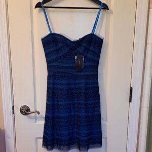 ✨️NWT✨️ BCBGMaxAzria Elegant Blue Striped Mini Dress, Size 4P